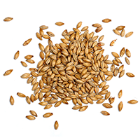 https://www.vikingrmead.com/wp-content/uploads/2017/05/ingredients_transparent_03.png