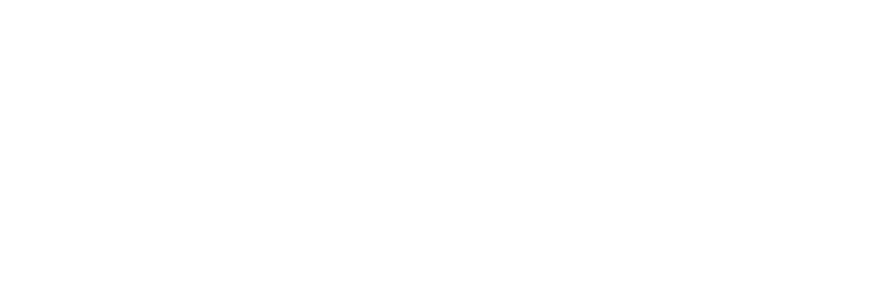 Vikingr Mead